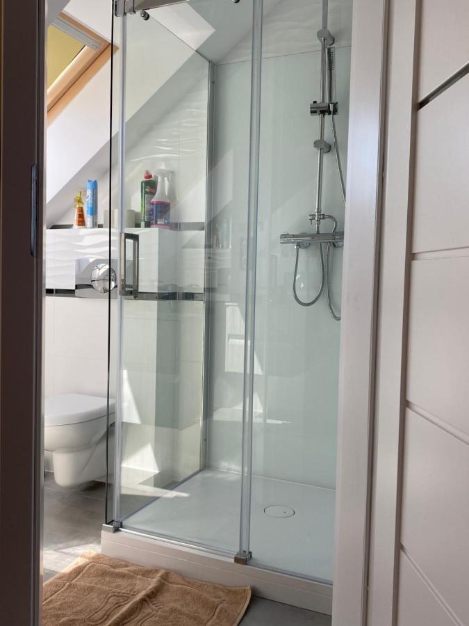 Pokoje Goscinne Nad Zalewem Swim Spa ミエンジボジェ エクステリア 写真